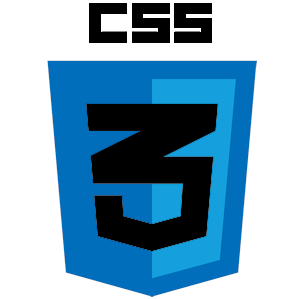 CSS Logo
